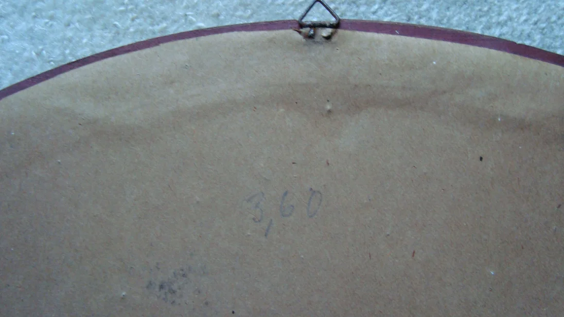 Bild 3: Gänse/Rückseite (2)