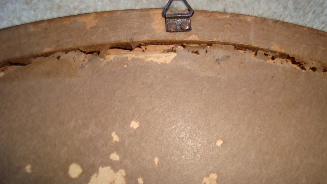 Bild 4: Blumen/Rückseite (2)