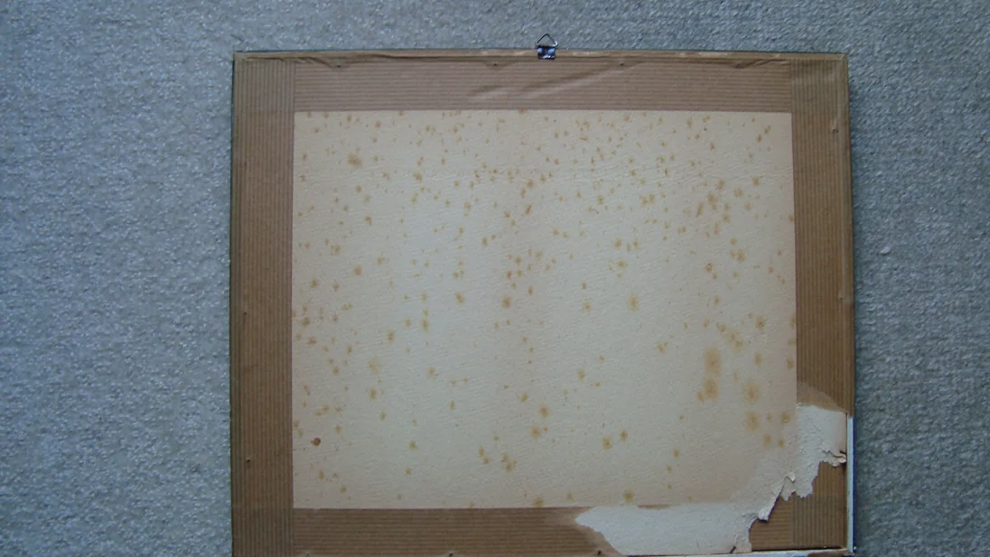 Bild 5: Flensbg. Hafen (1)