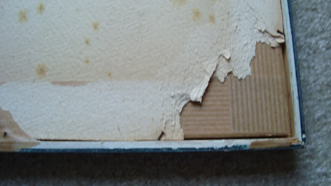 Bild 5: Flensbg. Hafen (2)