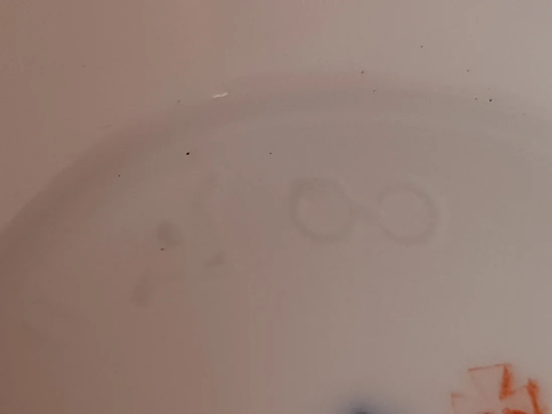 20180807_144809.jpg