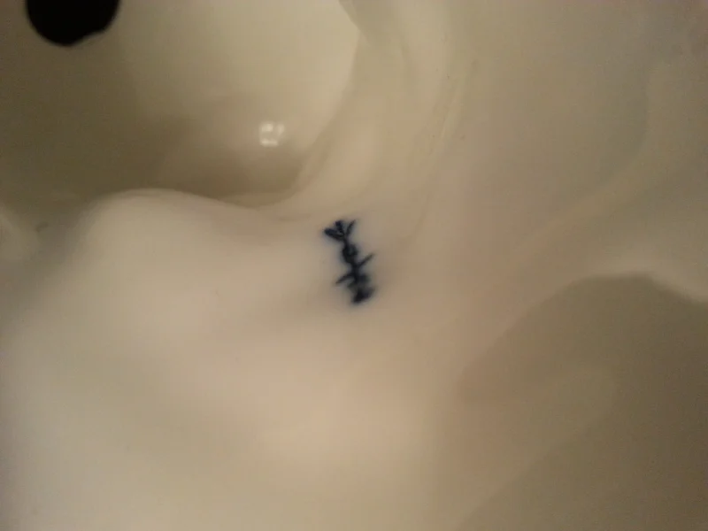 20180808_074627.jpg