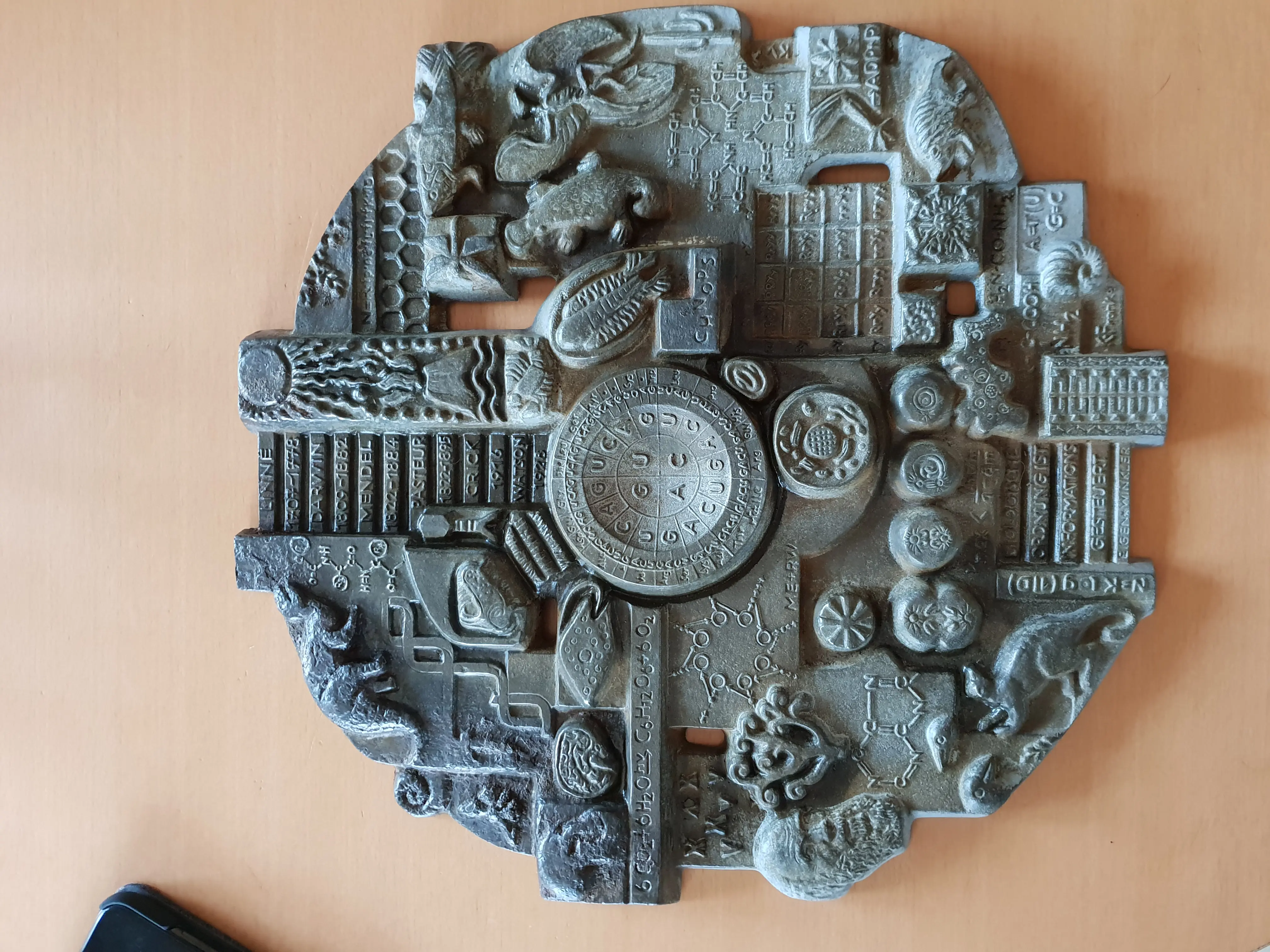 20180902_141709.jpg