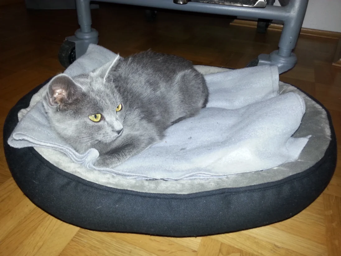 20180925_213128.jpg