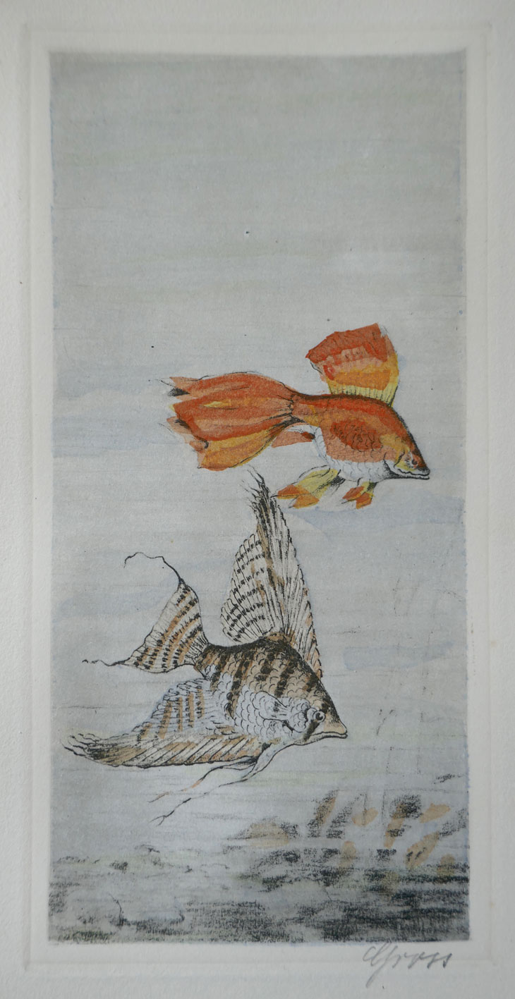 Die Radierung im Ganzen