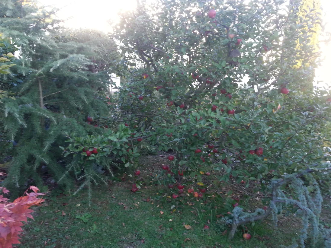 20181007_175607.jpg