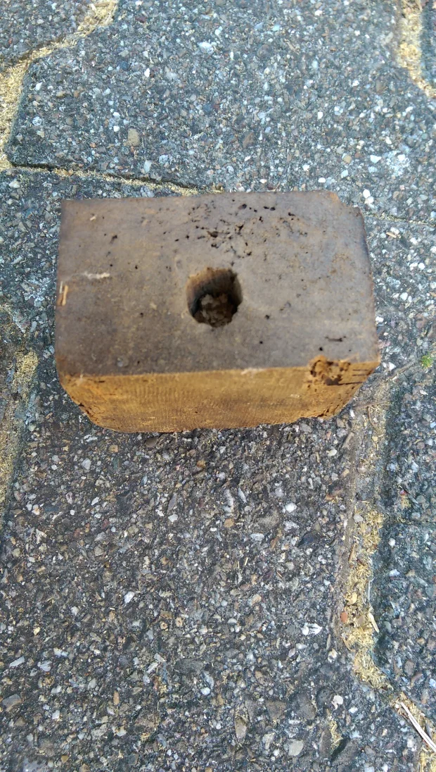 IMAG1217.jpg