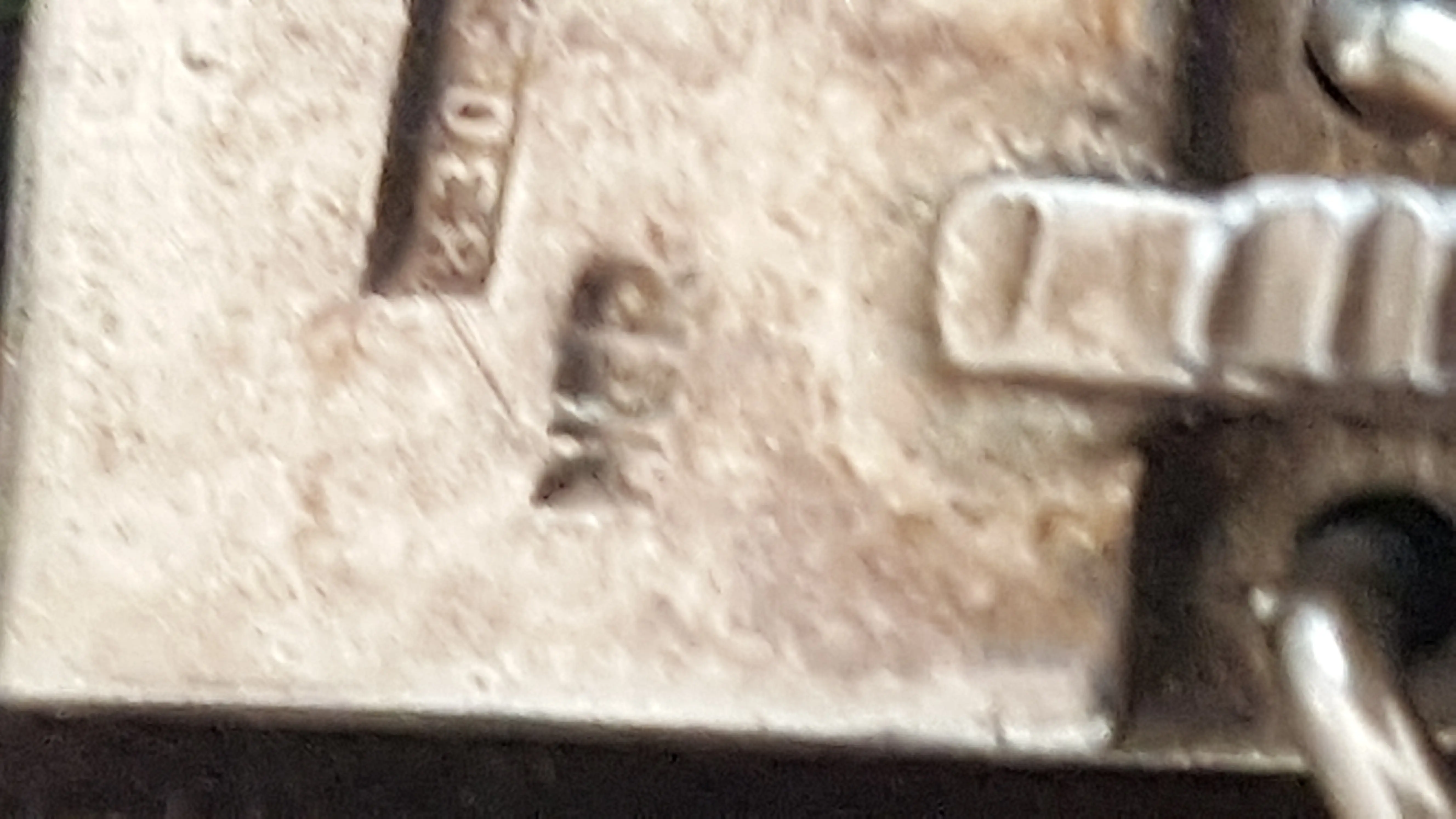 20181018_121605.jpg
