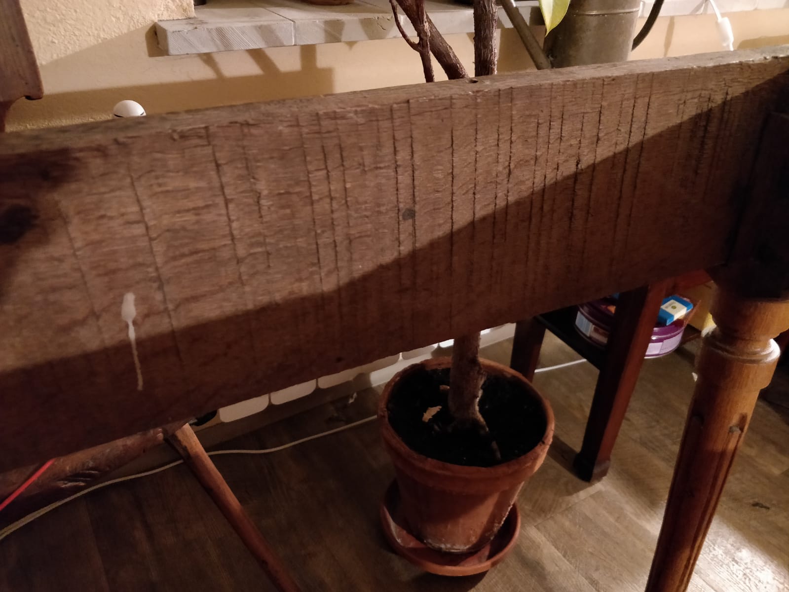 IMG-20181113-WA0006.jpg