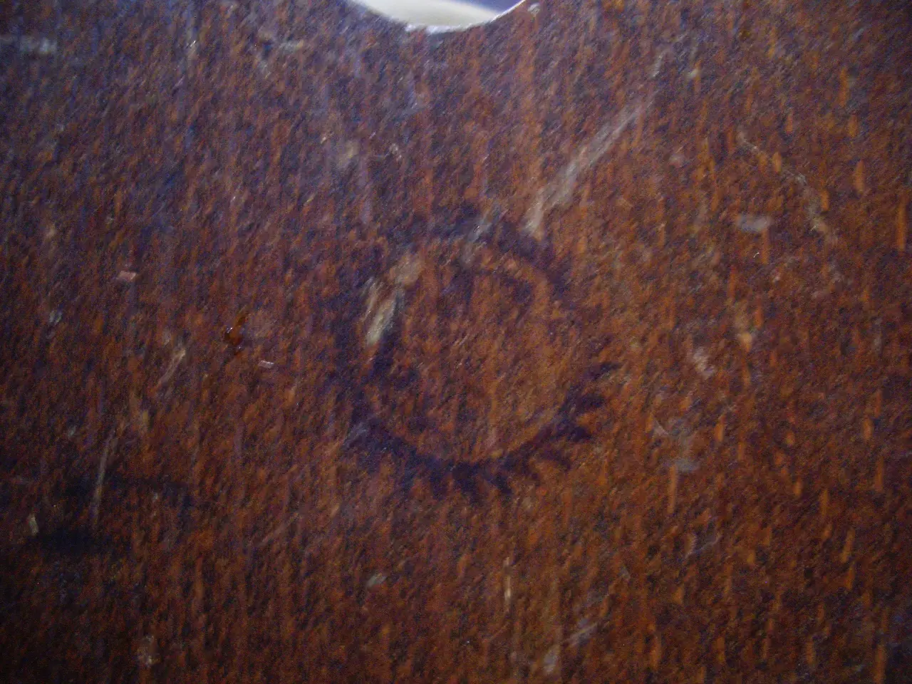 CIMG0524.JPG