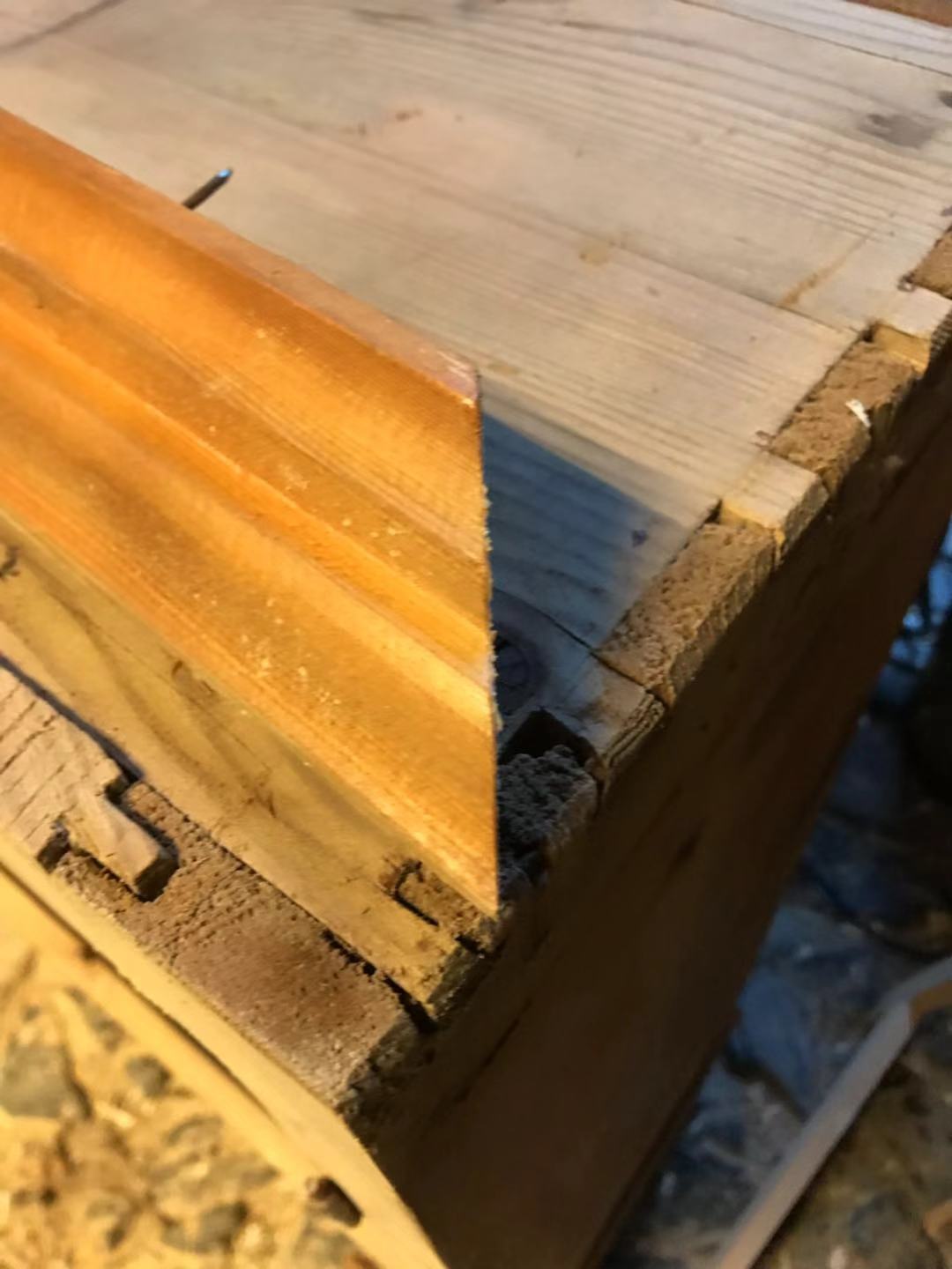310541182830863811Leiste bääääh.jpg