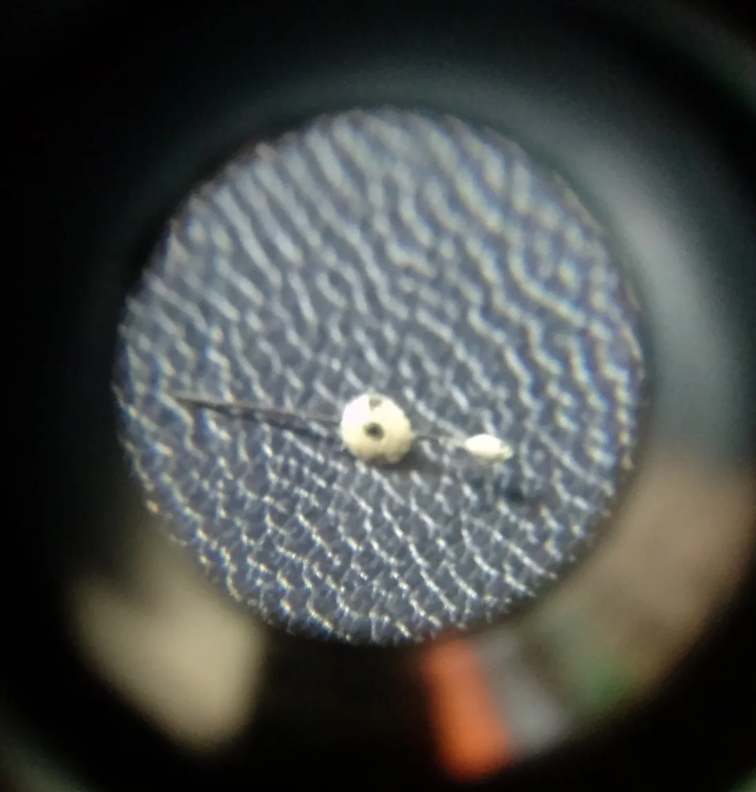 CAM00622.jpg