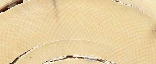 2C7D29DA-E511-4521-9601-4CA42AB5DAEA.jpeg