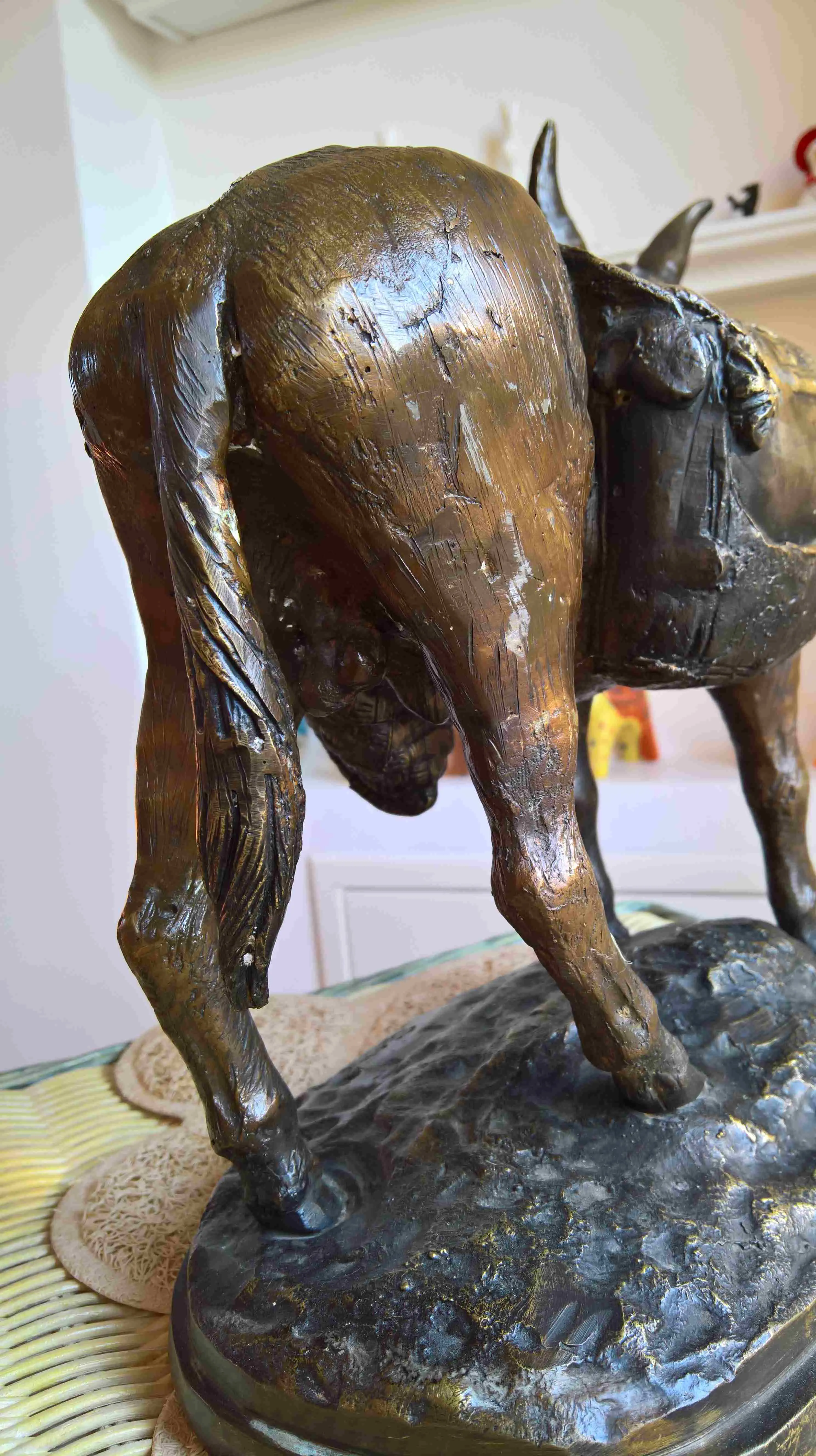 WP_20190206_09_34_29_Rich.jpg