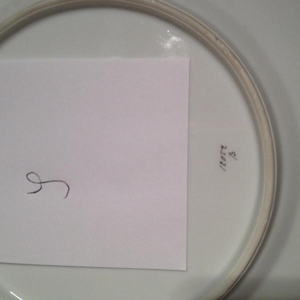 Das S ist im Porzellan also es lässt sich schlecht fotografieren