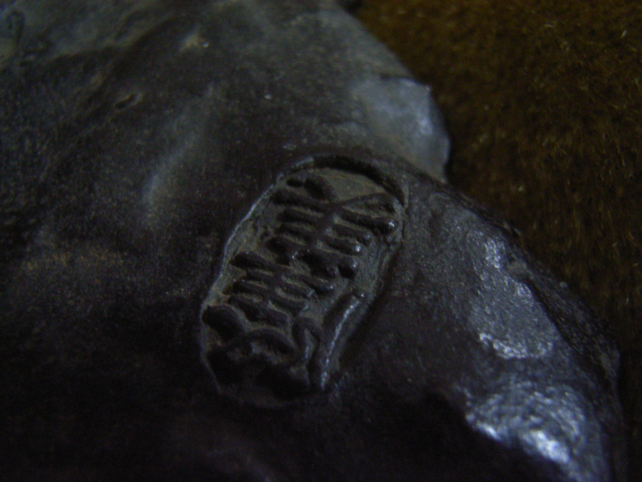 aR0016587.JPG