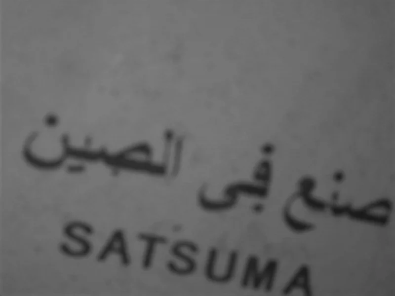 IMG_20190306_173006334 (2).jpg