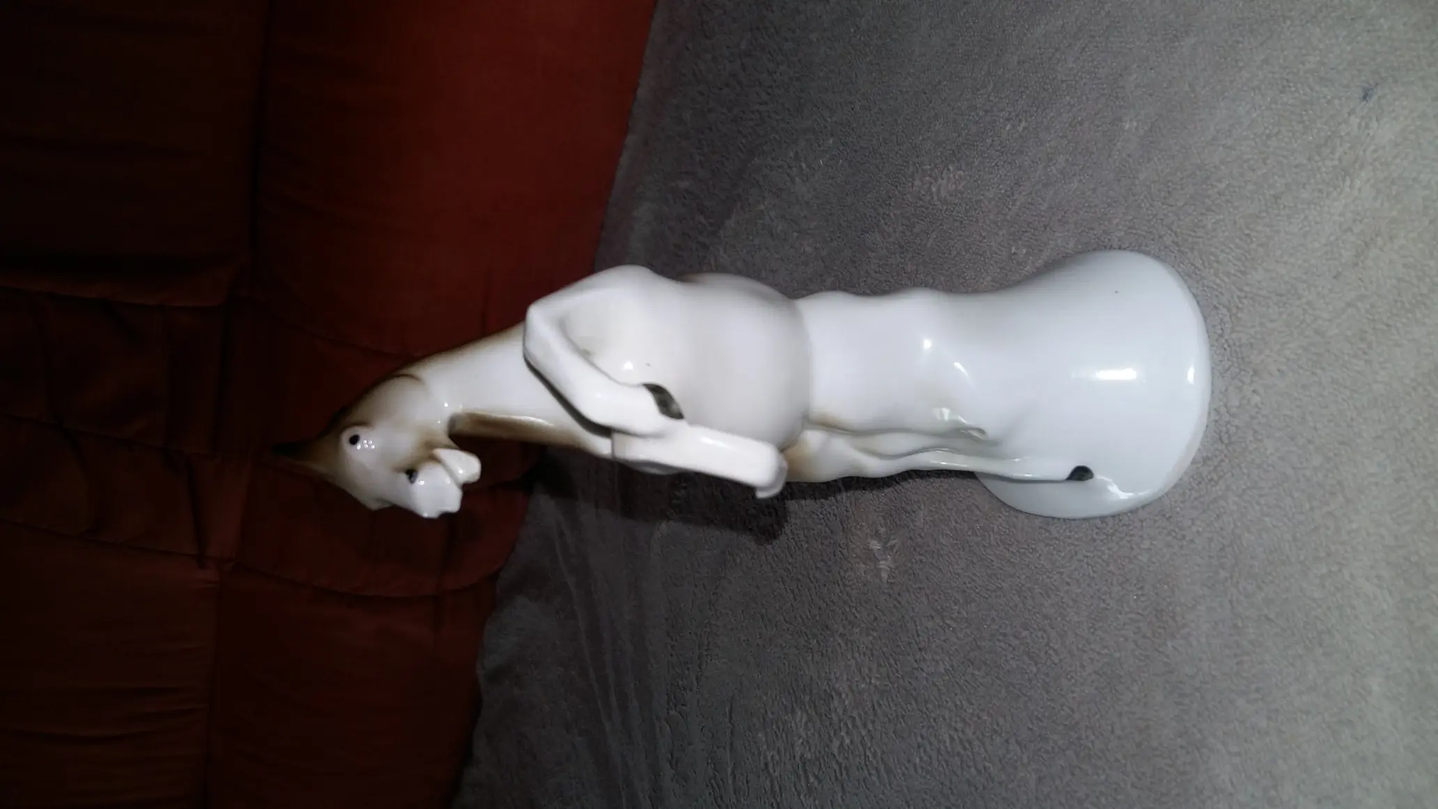 20190325_162405.jpg