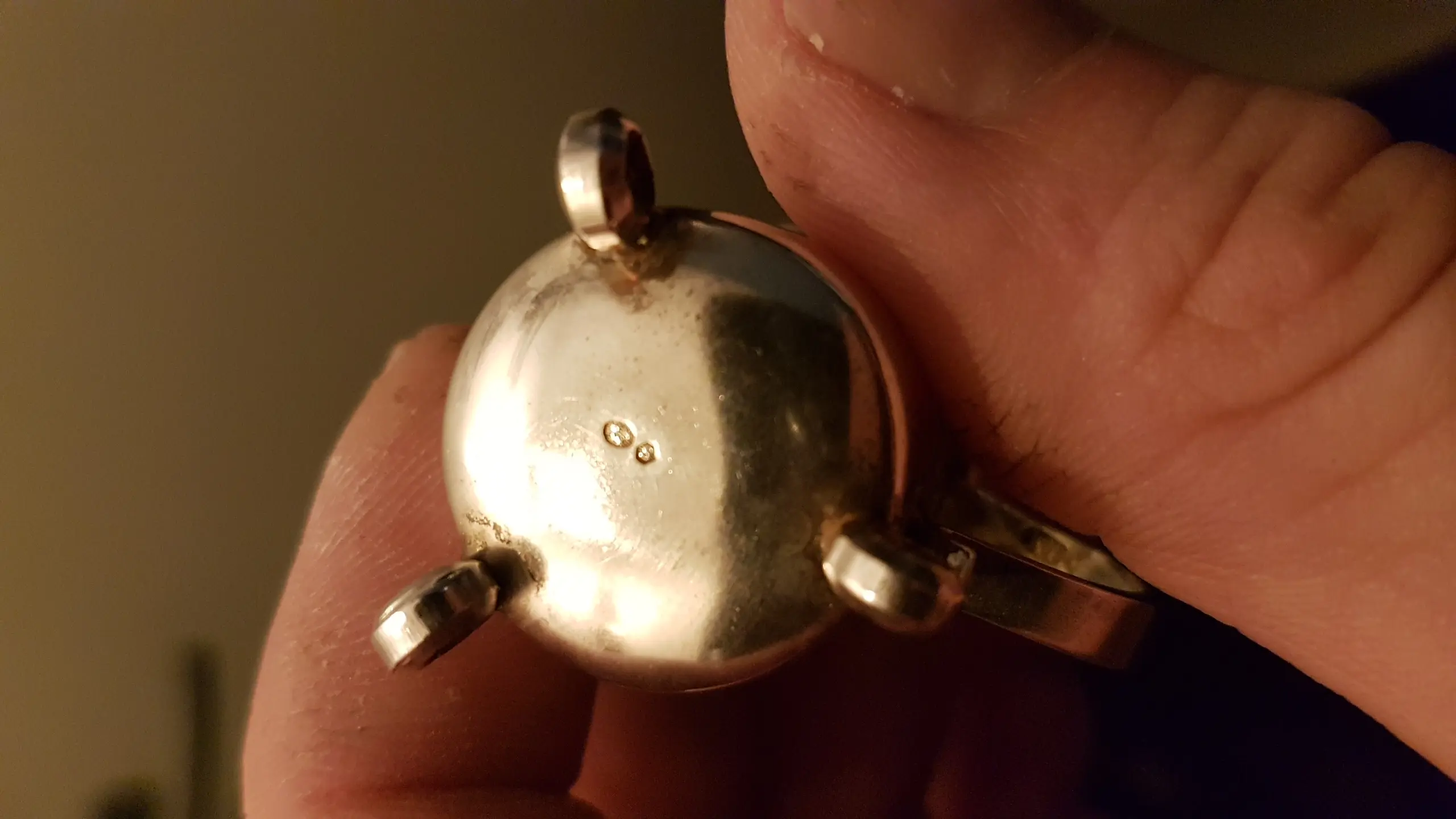 20190406_111721.jpg