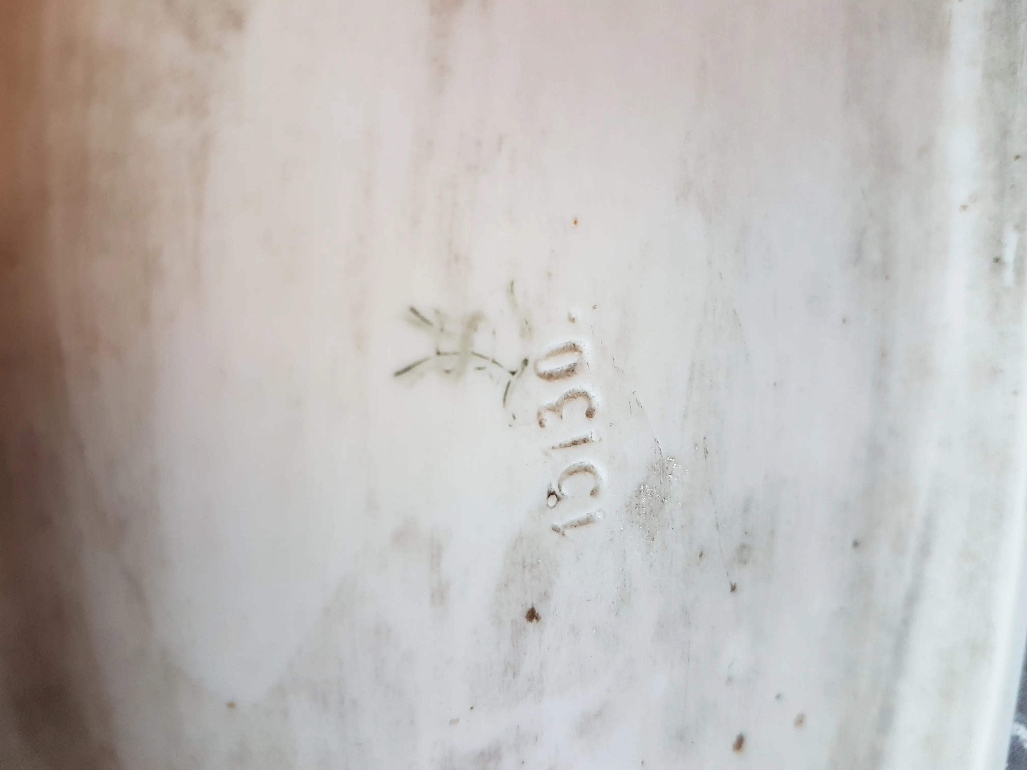 20190513_170444.jpg