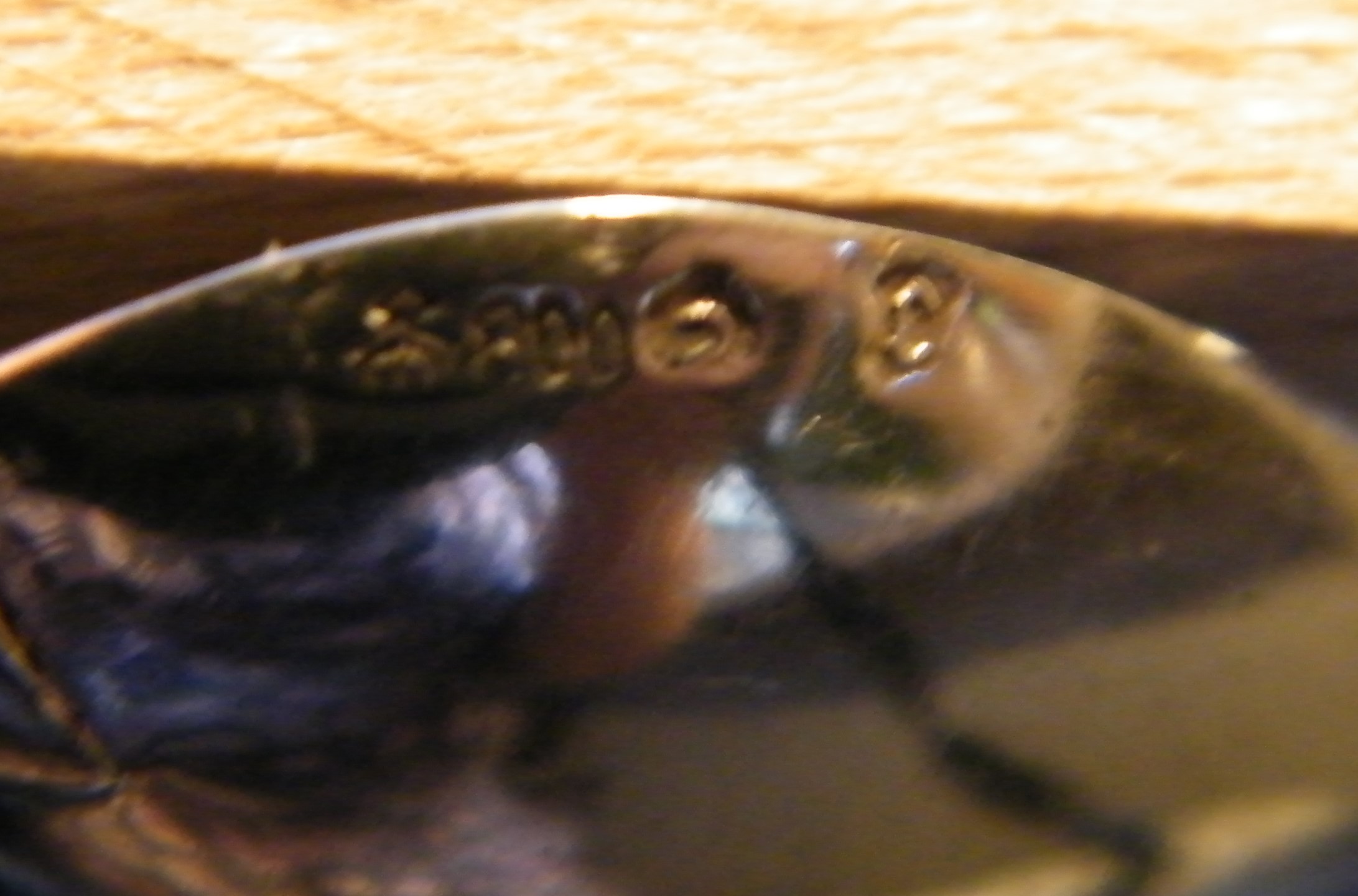 DSCF8160.JPG