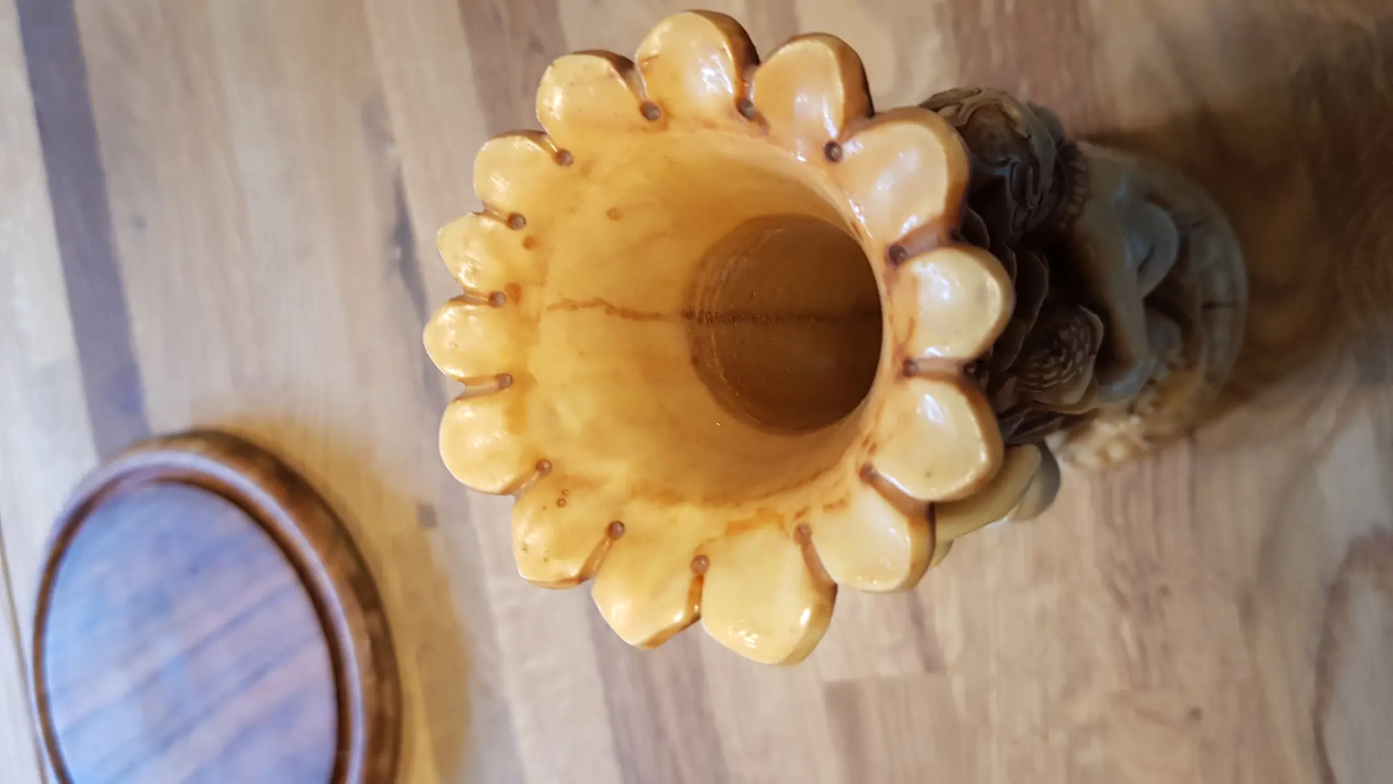 20190622_160253.jpg