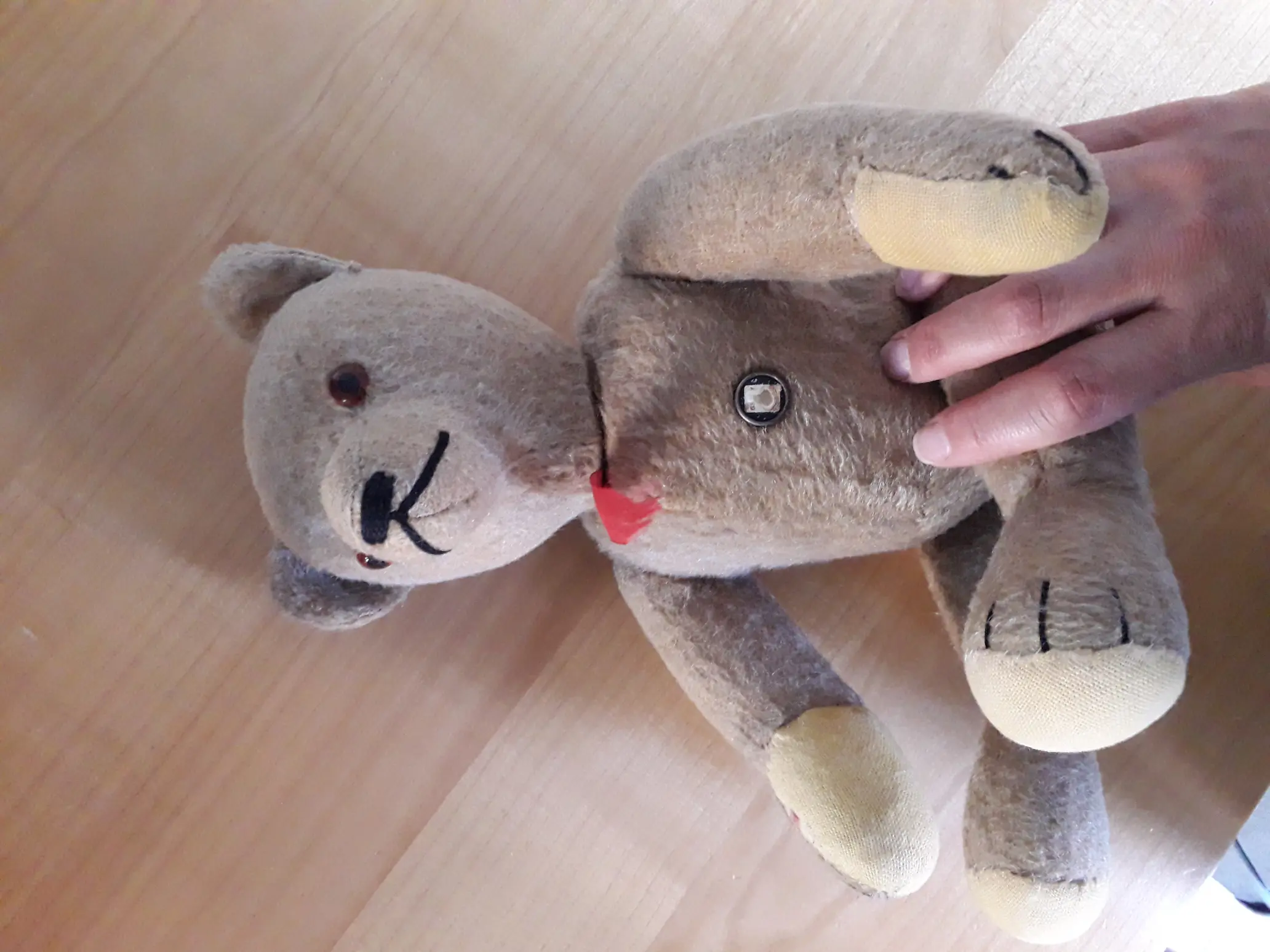 20190621_194319.jpg