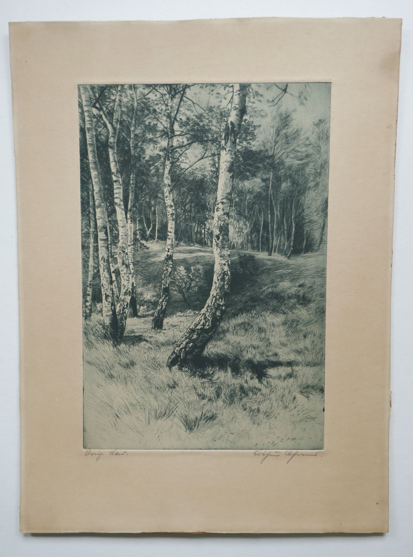 Die Radierung komplett