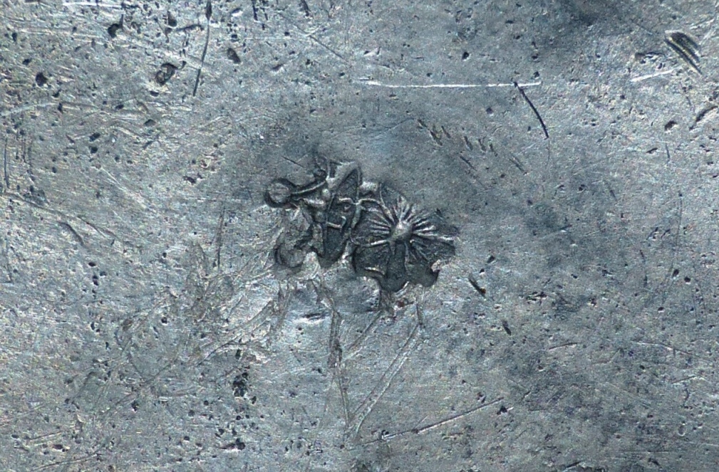 P1230110a.jpg