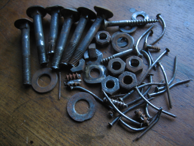 Bugholz Kohn Teil 2 002.JPG