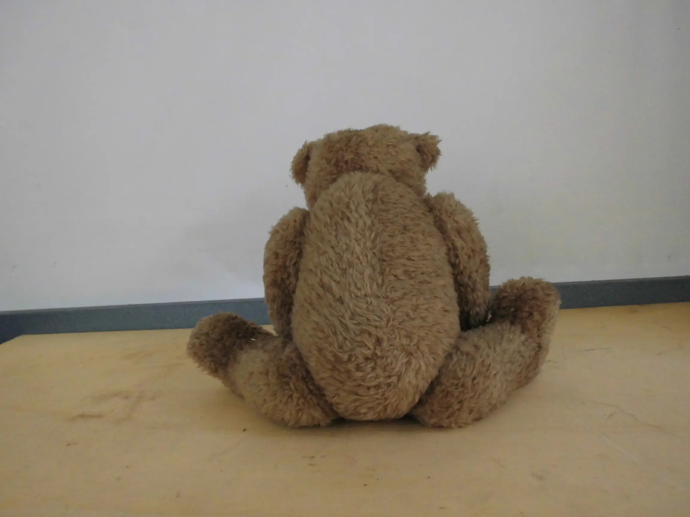 DSCI0011.JPG