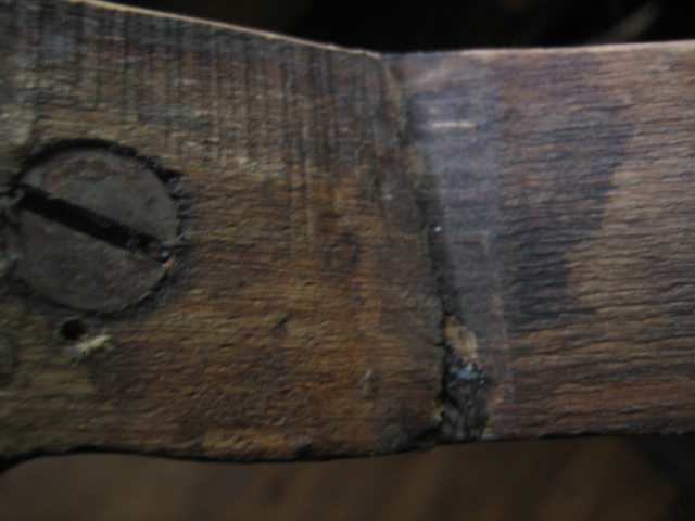 Bugholz Kohn Teil 2 003.JPG