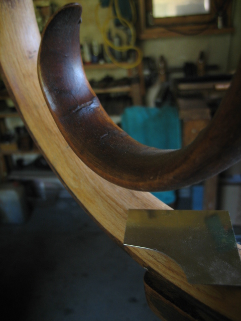 Bugholz Kohn Teil 2 001.JPG