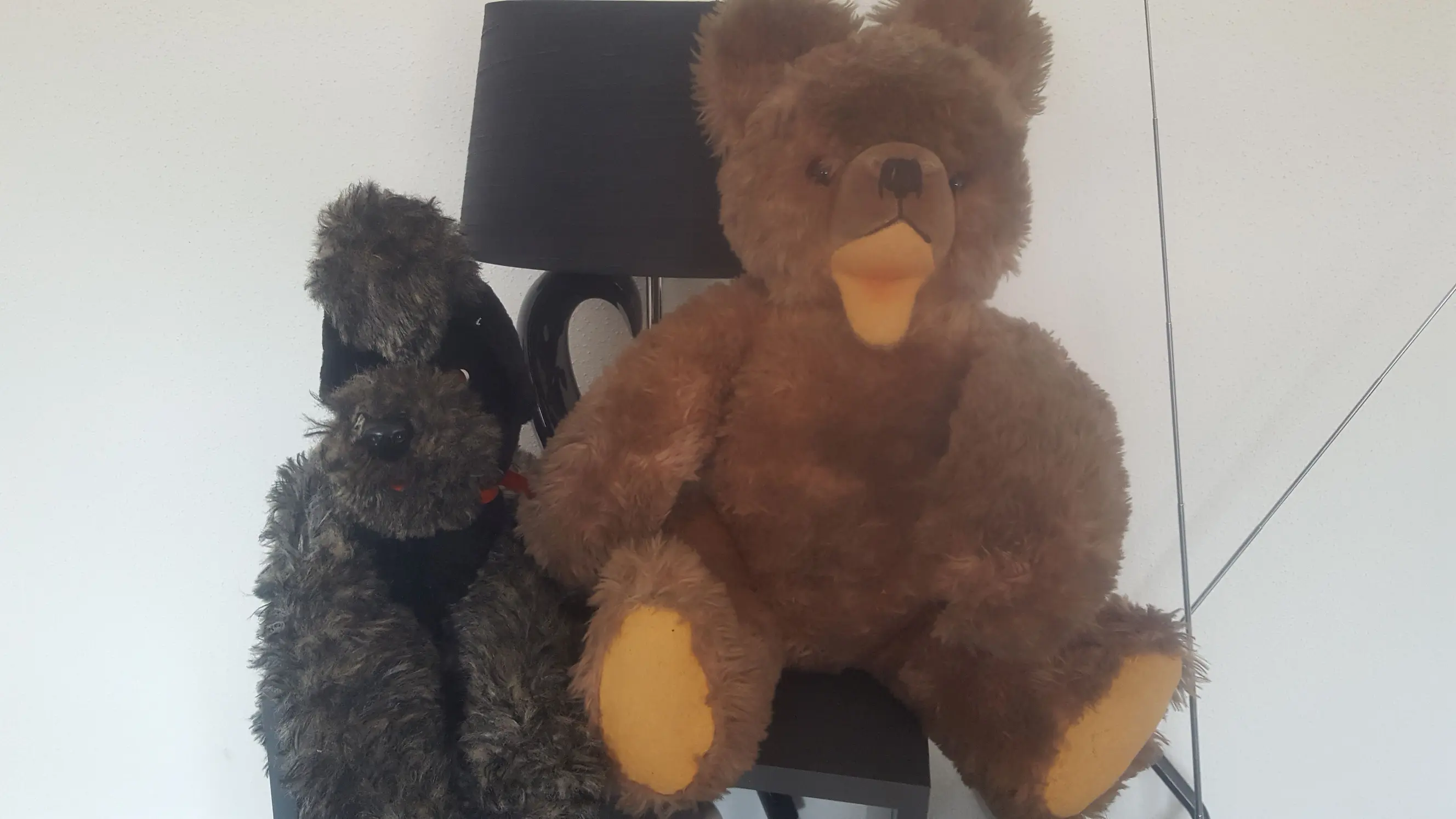 Teddy und Hund.jpg