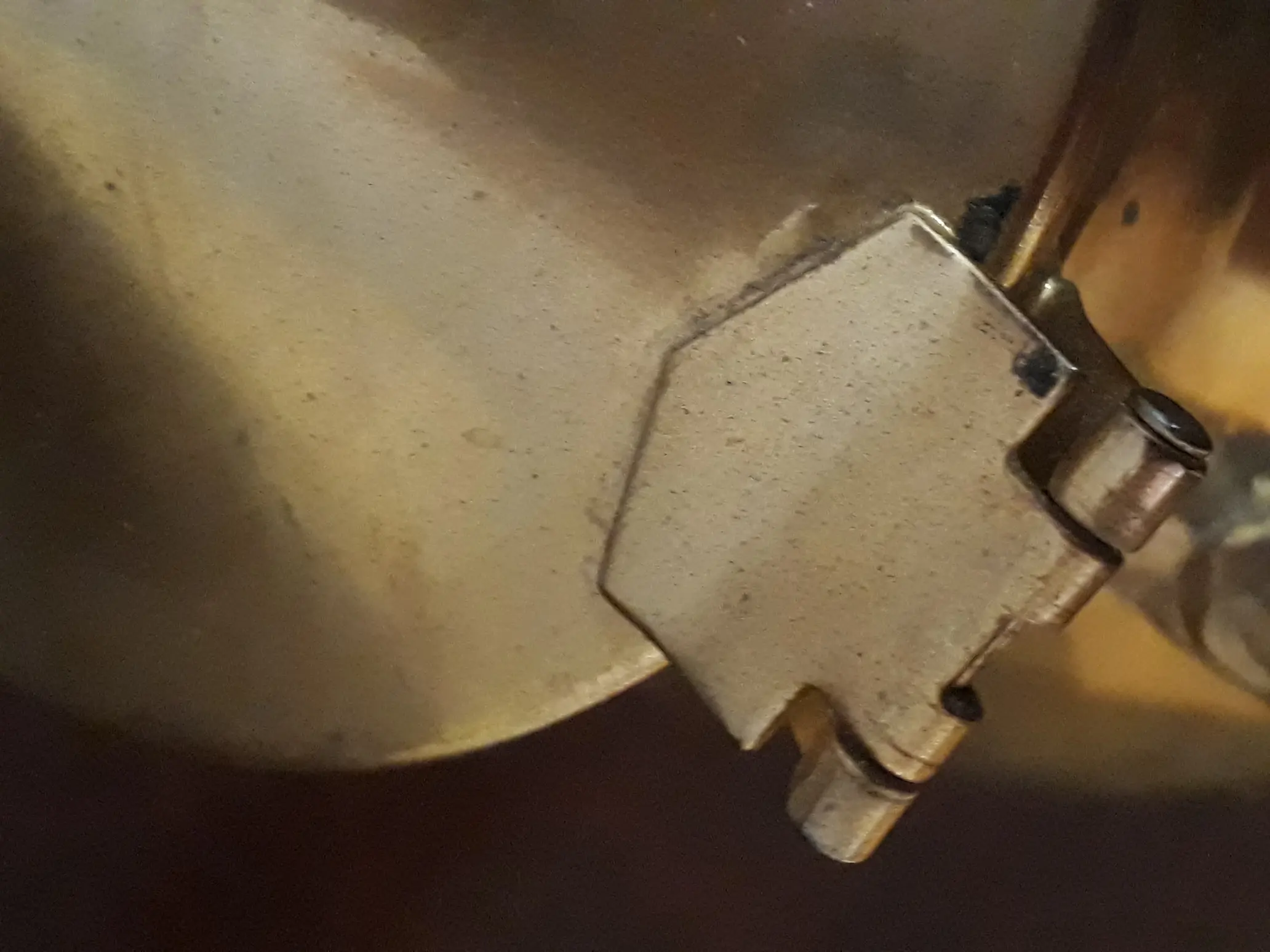 20190806_090258.jpg