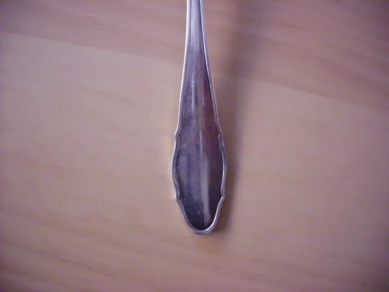 DSCI5650.JPG