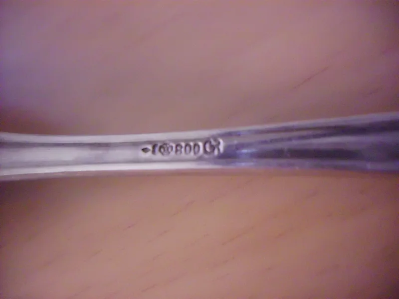 DSCI5647.JPG
