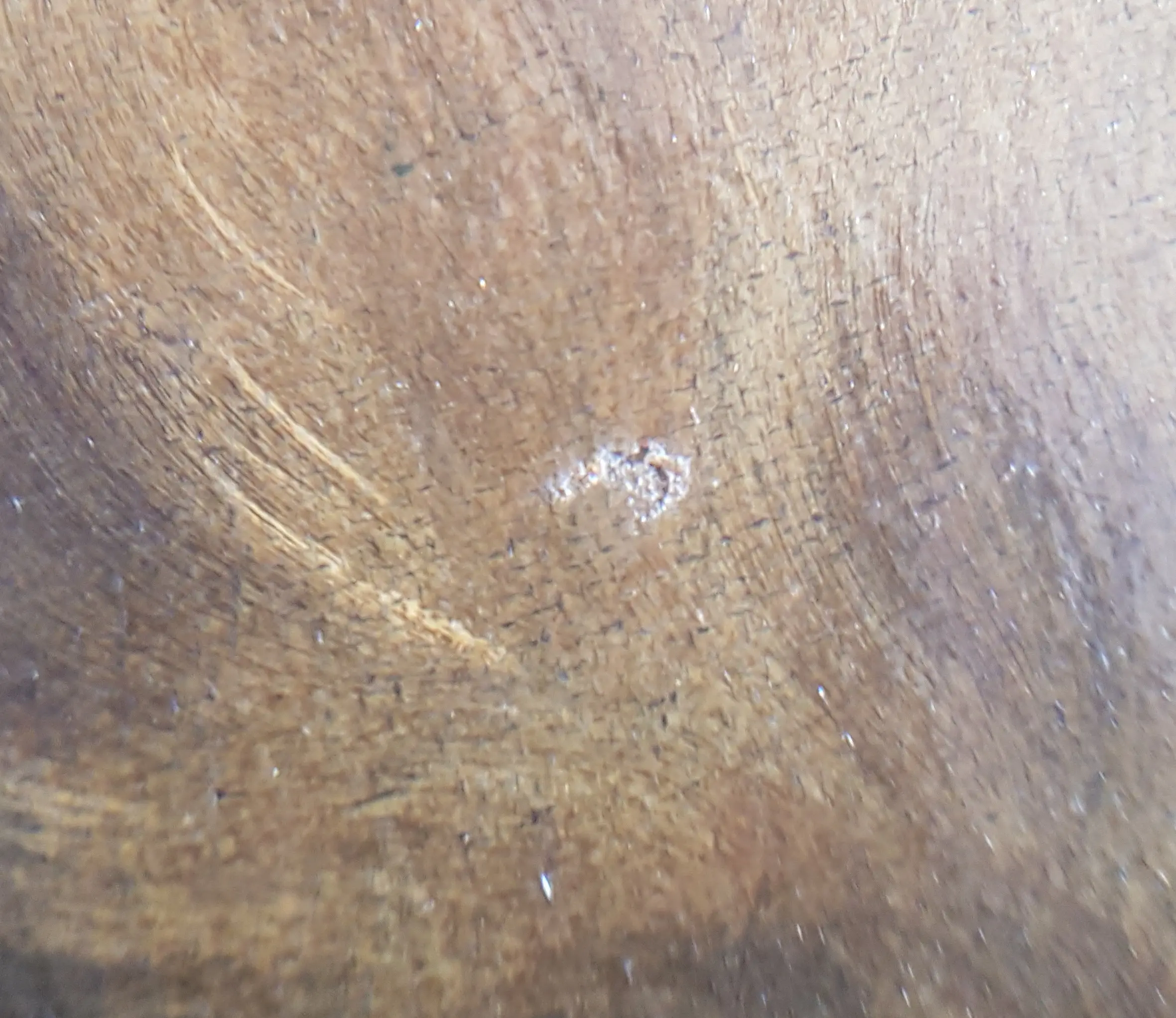 20190818_115036.jpg