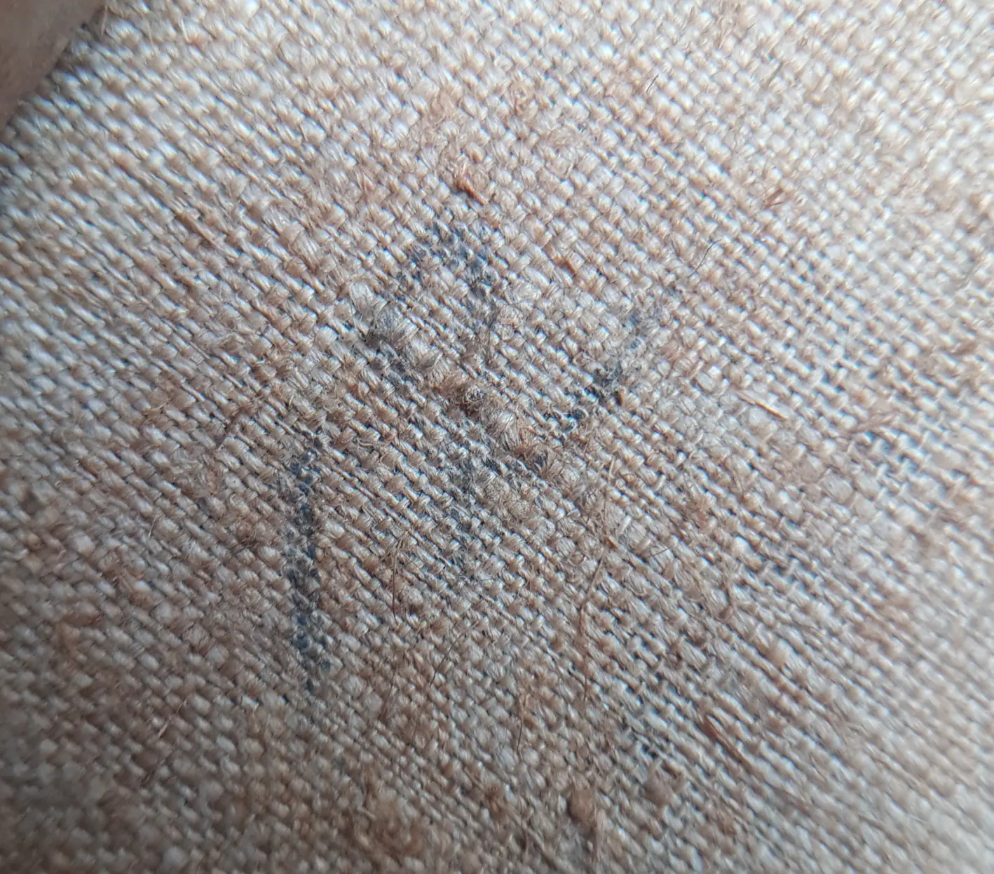 20190818_115217.jpg