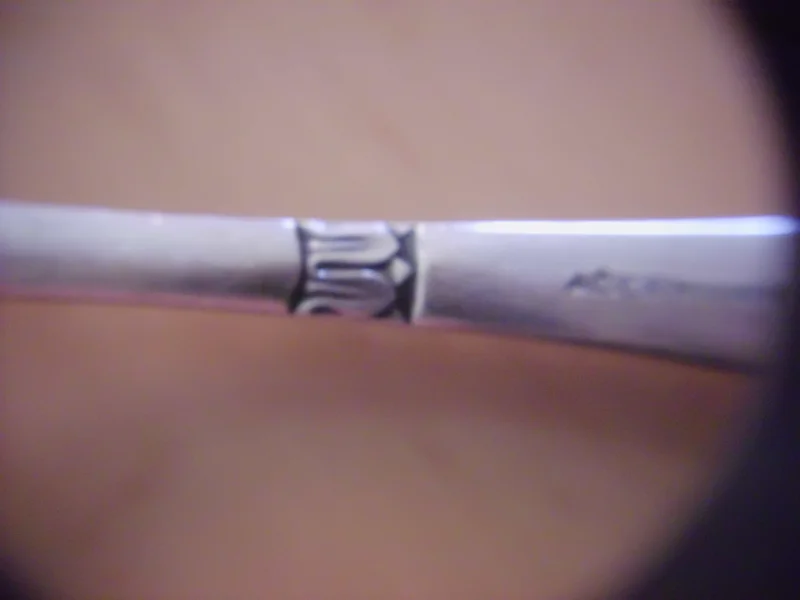 DSCI5662.JPG