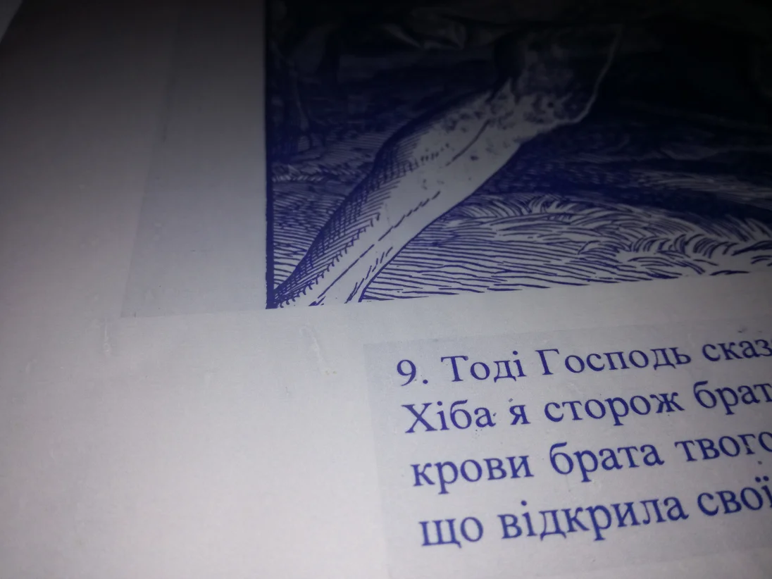 IMG_20190906_151336.jpg