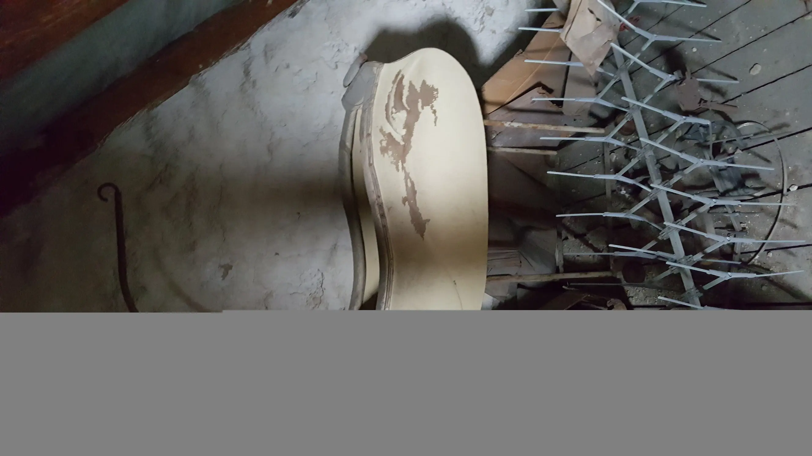20180624_174209.jpg