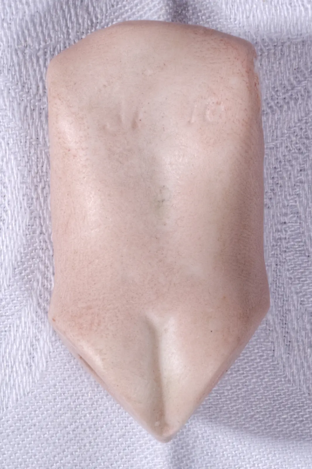 Rücken große Puppe.jpg
