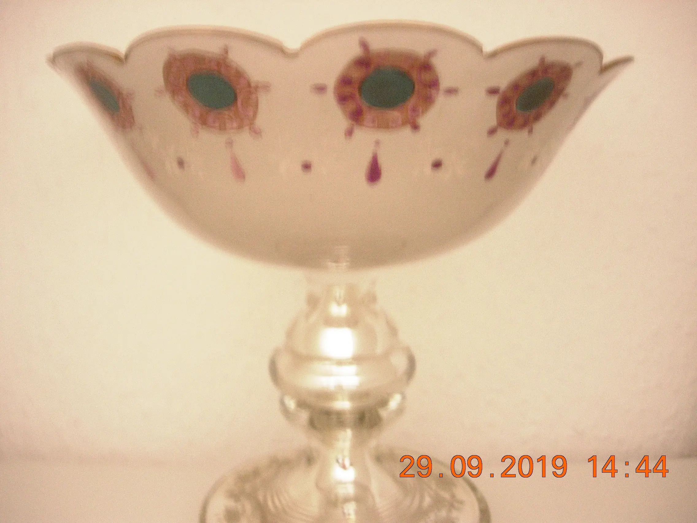 DSCN5214.JPG