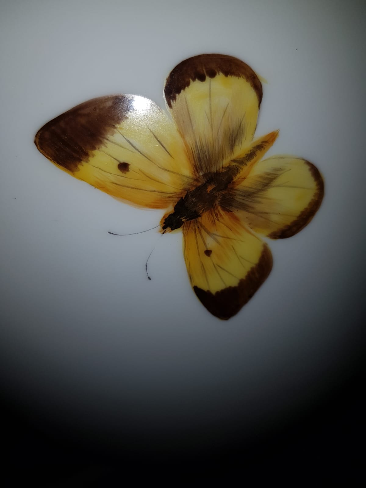 IMG-20191017-WA0014.jpg