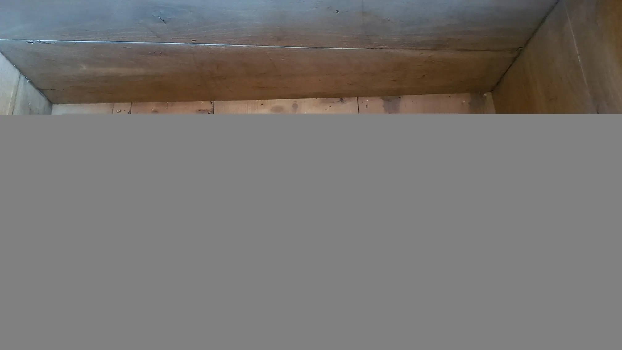 20191113_115140.jpg