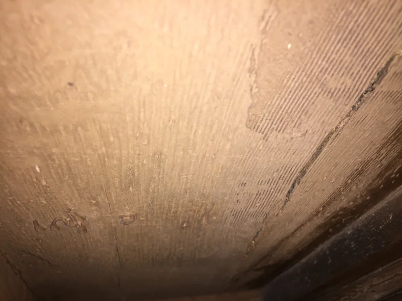 6B165088-2726-4ED1-97EE-C7EAD34DCB49.jpeg