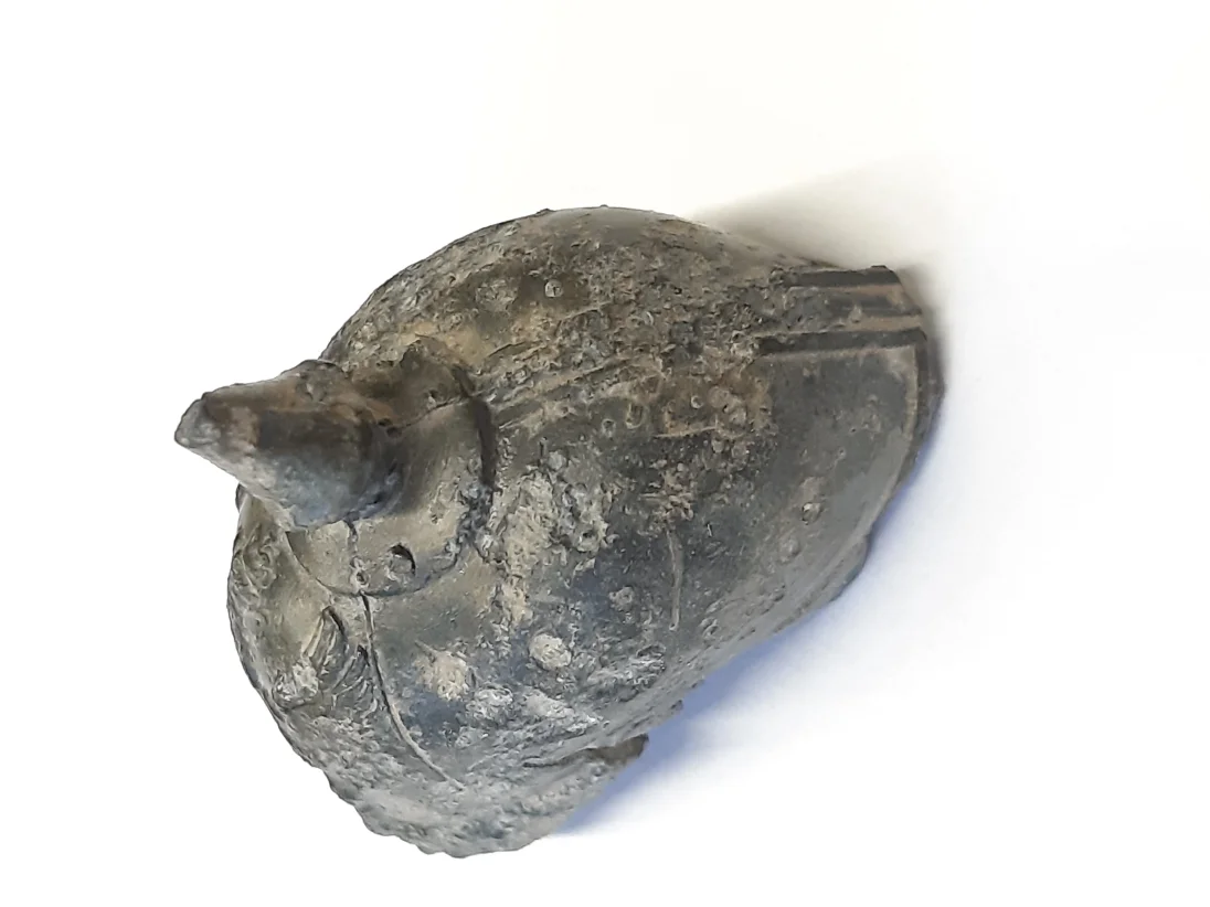 20191203_102146.jpg