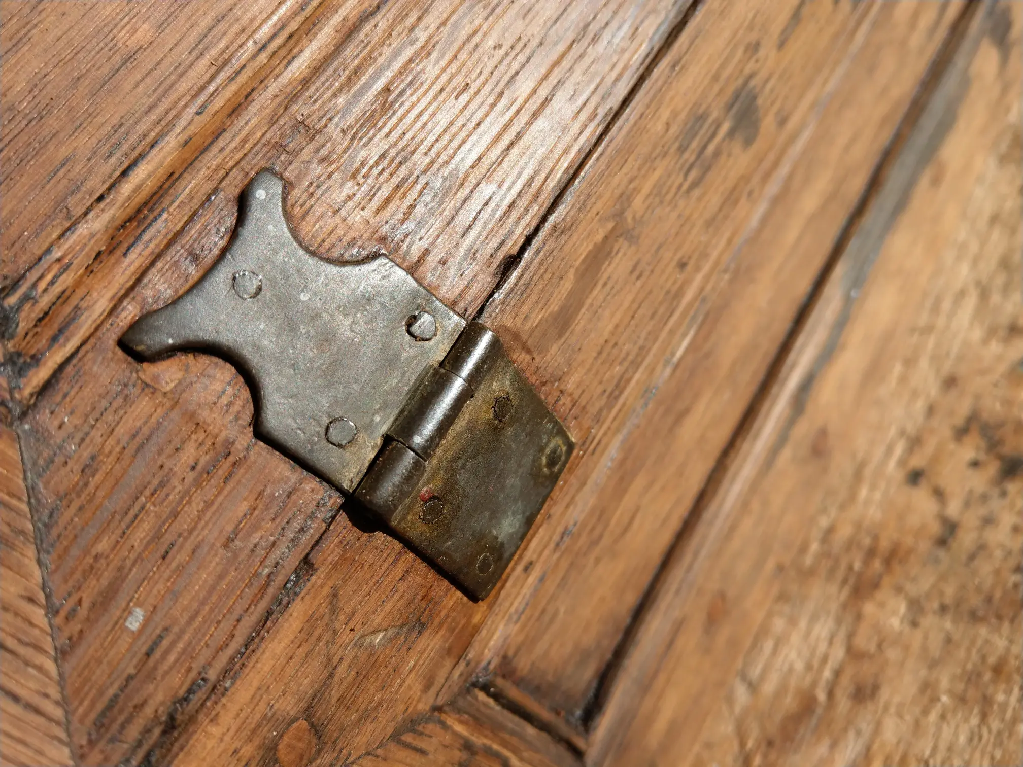 IMAG2985.jpg