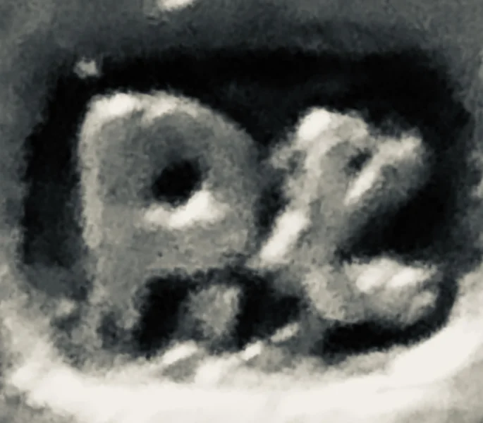 47FE8679-5CF0-48B9-9678-CEBB9496871C.jpeg